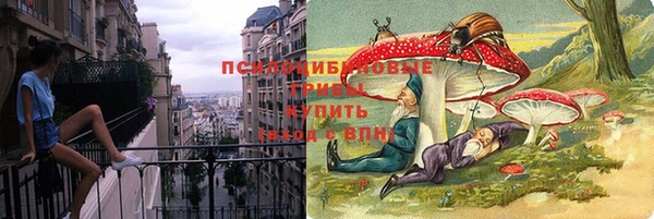 спиды Алексин
