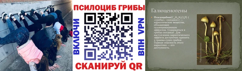 наркошоп  hydra онион  Галлюциногенные грибы Cubensis  Кизилюрт 